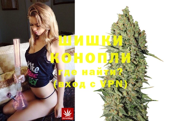 винт Бородино