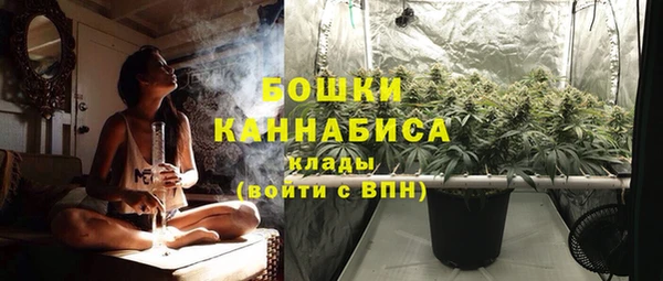 винт Бородино