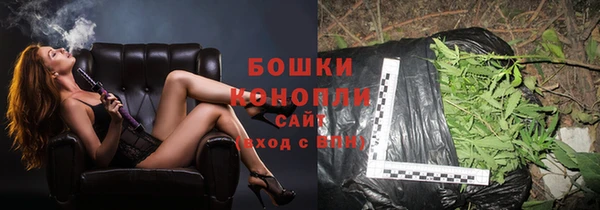 винт Бородино