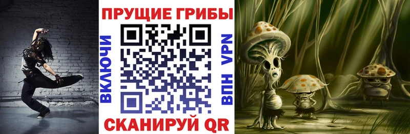 Псилоцибиновые грибы GOLDEN TEACHER  магазин  наркотиков  Кореновск 